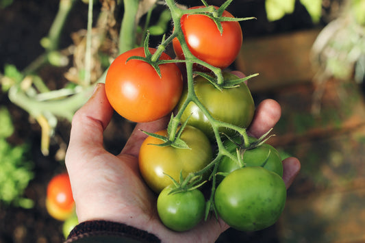 Should You Prune Your Veggies?