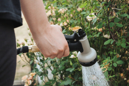 Summer Watering Tips! 💦