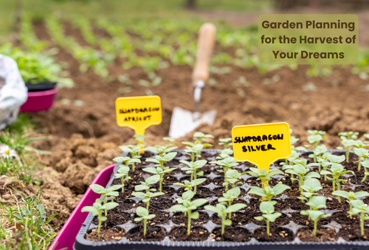 Garden Planning for the Harvest of Your Dreams