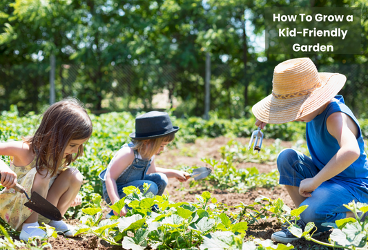 How To Grow a Kid-Friendly Garden