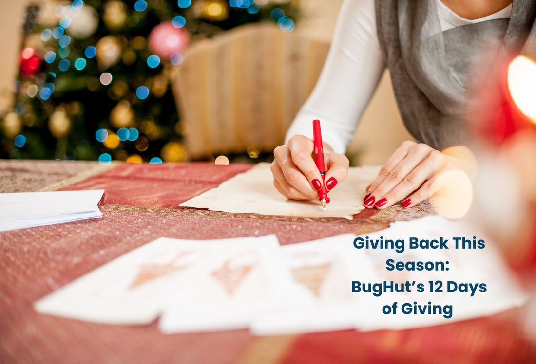 Giving Back This Season: BugHut’s 12 Days of Giving