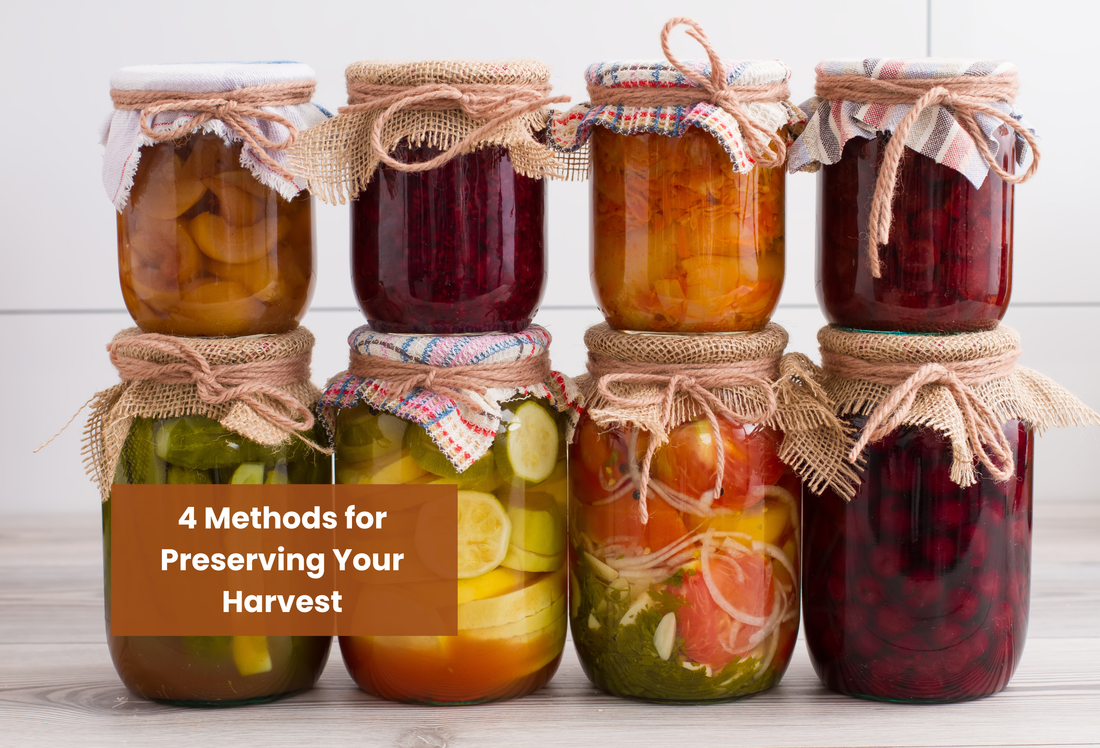 4 Methods for Preserving Your Harvest