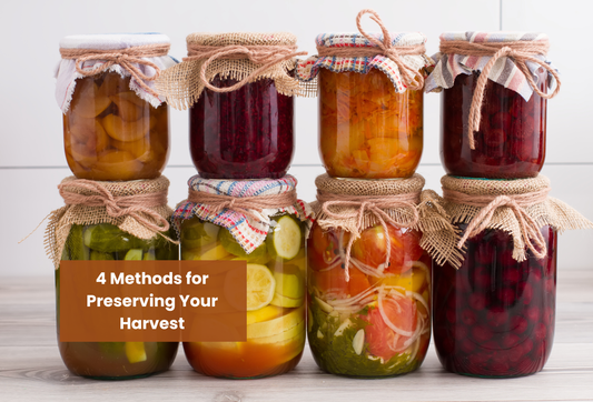 4 Methods for Preserving Your Harvest