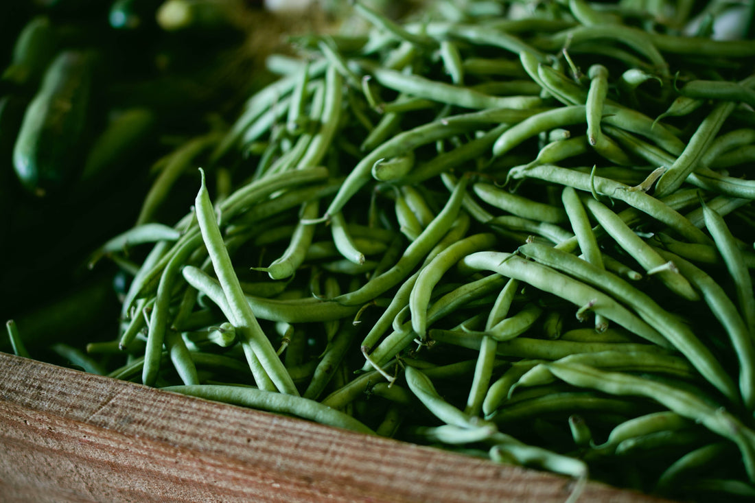 Solve Green Bean Problems With BugHut!