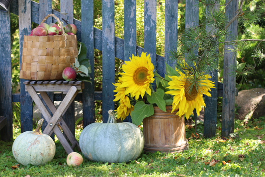 Fall gardening tips!